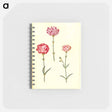 アートメモ帳-Dianthus caryophyllus
 - マリア ジビーラ メーリアン Memo.