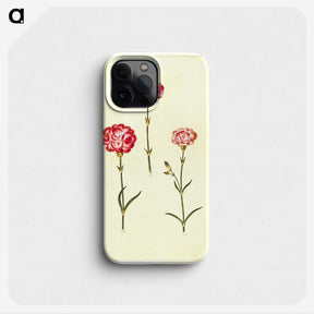 3-28_Maria-Sibylla-Merian_phone
