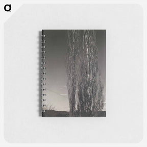 アートメモ帳-The Two Poplars, Lake George
 - セントルイス美術館 Memo.