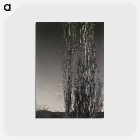 アートポストカード-The Two Poplars, Lake George
 - セントルイス美術館 Postcard.