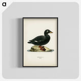 3-28_Svenska-Faglar_blk-crop