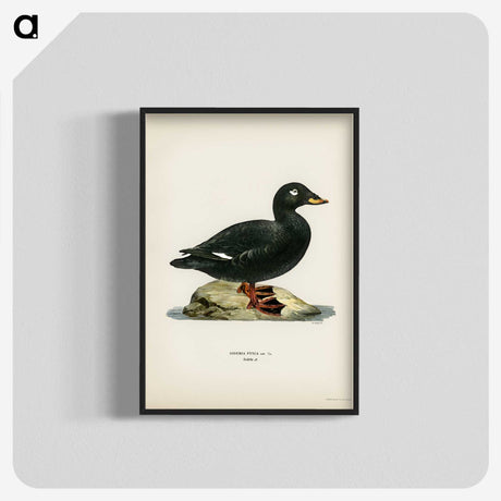 3-28_Svenska-Faglar_blk-crop