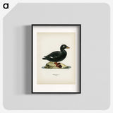 3-28_Svenska-Faglar_blk