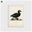 3-28_Svenska-Faglar_postcard