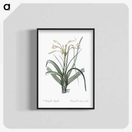 3-28_The-Lilies_blk-crop