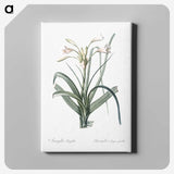 3-28_The-Lilies_canvas