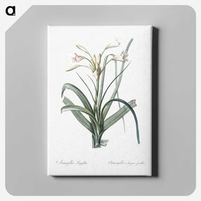 3-28_The-Lilies_canvas