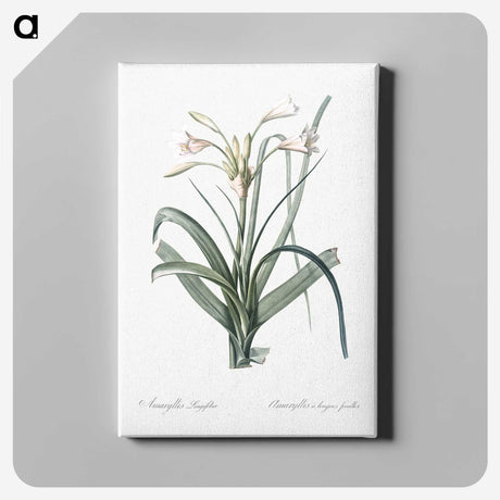 3-28_The-Lilies_canvas
