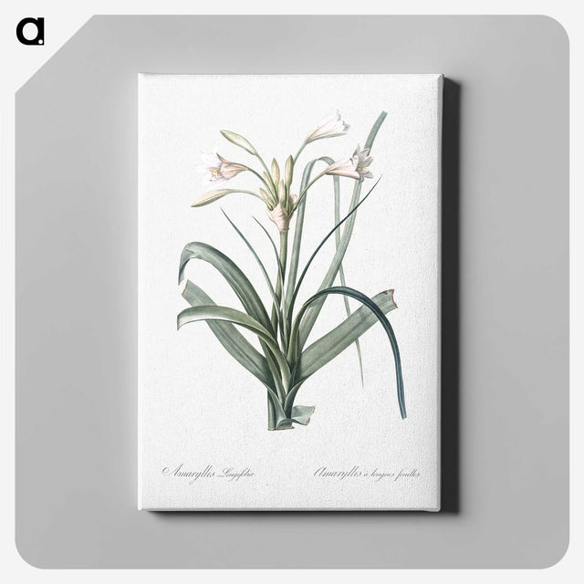 3-28_The-Lilies_canvas
