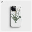 3-28_The-Lilies_phone