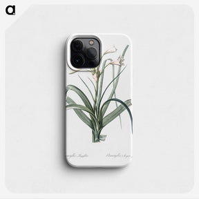 3-28_The-Lilies_phone