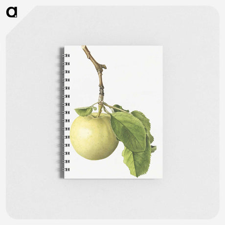 3-28_USDA-Watercolor-Fruit-Painting-Collection_memo