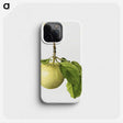 3-28_USDA-Watercolor-Fruit-Painting-Collection_phone