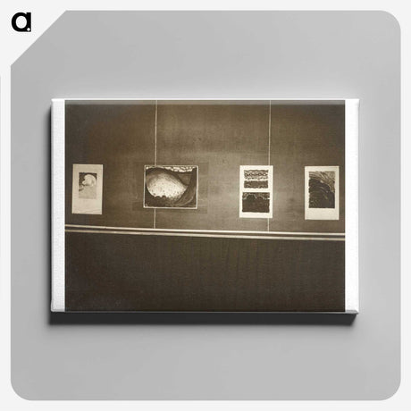 3-29_Alfred-Stieglitz_canvas