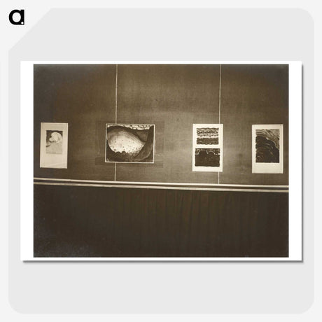 3-29_Alfred-Stieglitz_picture-crop