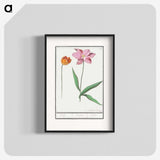 3-29_Anselmus-Boetius-de-Boodt_blk