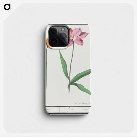 3-29_Anselmus-Boetius-de-Boodt_phone