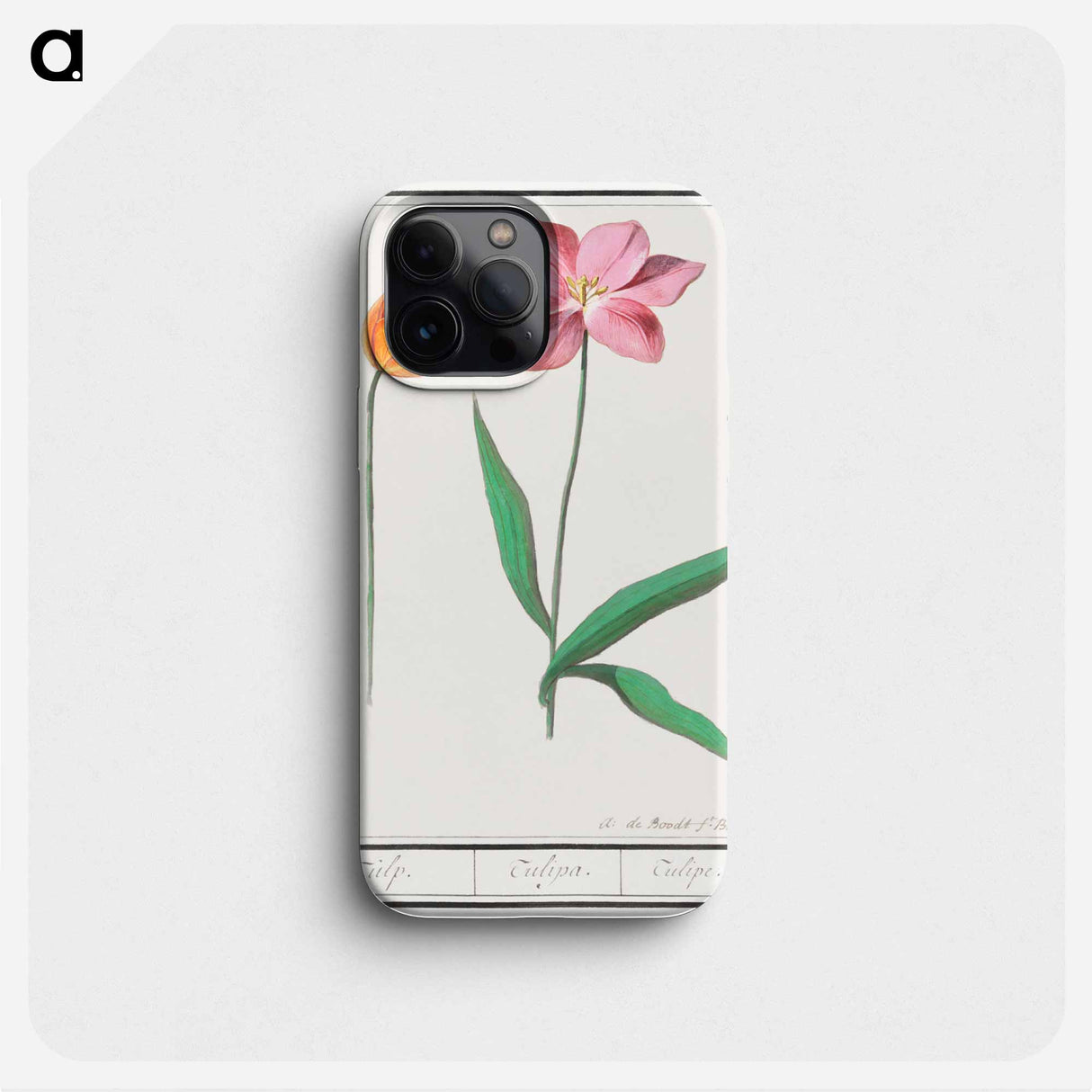 Tulip - アンセルムス ボエティウス デ ブート Phone Case.
