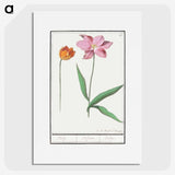 3-29_Anselmus-Boetius-de-Boodt_picture