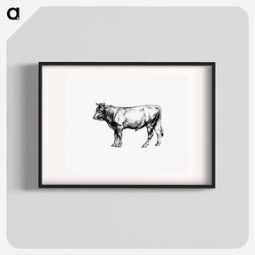 アートポスター-Cow from The Austro-Hungarian Monarchy In Speech And Image
 - 大英図書館 Poster.