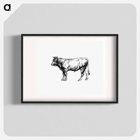 アートポスター-Cow from The Austro-Hungarian Monarchy In Speech And Image
 - 大英図書館 Poster.