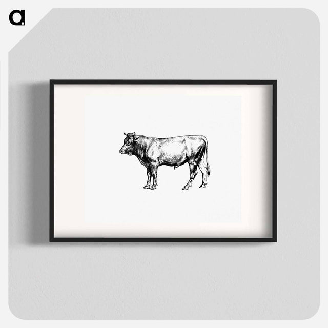 アートポスター-Cow from The Austro-Hungarian Monarchy In Speech And Image
 - 大英図書館 Poster.