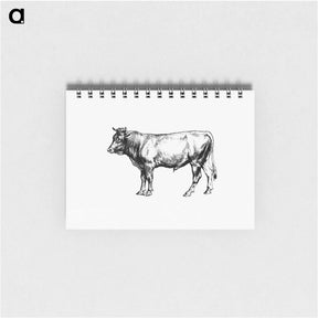 アートメモ帳-Cow from The Austro-Hungarian Monarchy In Speech And Image
 - 大英図書館 Memo.