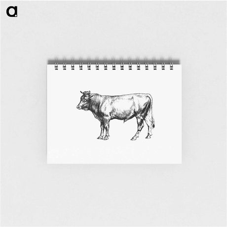 アートメモ帳-Cow from The Austro-Hungarian Monarchy In Speech And Image
 - 大英図書館 Memo.