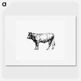 アートポスター-Cow from The Austro-Hungarian Monarchy In Speech And Image
 - 大英図書館 Poster.