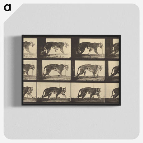 3-29_Eadweard-Muybridge_blk-crop