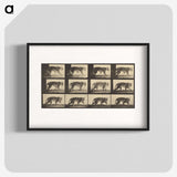 3-29_Eadweard-Muybridge_blk