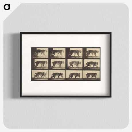 3-29_Eadweard-Muybridge_blk