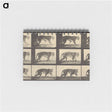 3-29_Eadweard-Muybridge_memo