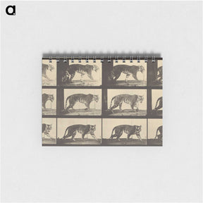 3-29_Eadweard-Muybridge_memo