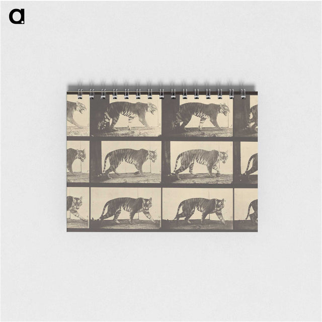 3-29_Eadweard-Muybridge_memo