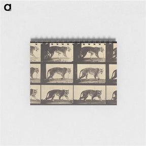 アートメモ帳-Animal Locomotion
 - エドワード マイブリッジ Memo.
