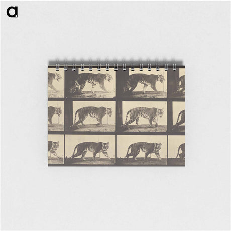 アートメモ帳-Animal Locomotion
 - エドワード マイブリッジ Memo.