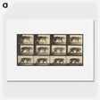 3-29_Eadweard-Muybridge_picture