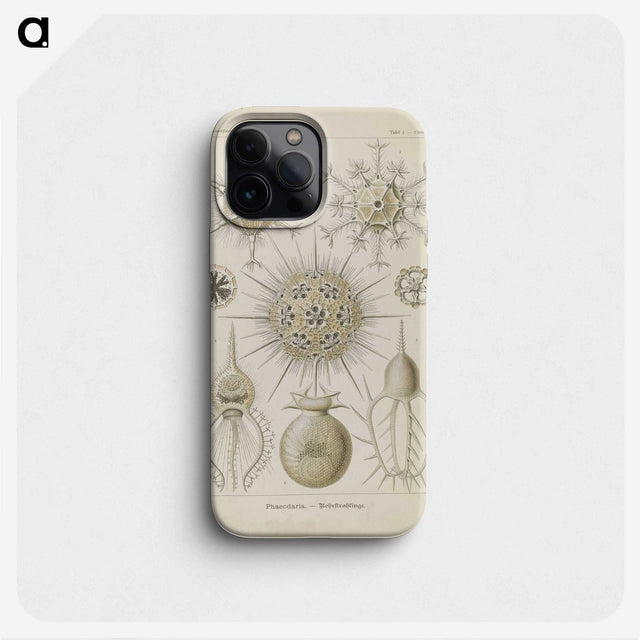 3-29_Ernst-Haeckel_phone
