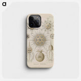 Marine life illustration - エルンスト ヘッケル Phone Case.