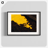3-29_Insects-Unlocked-Project_blk
