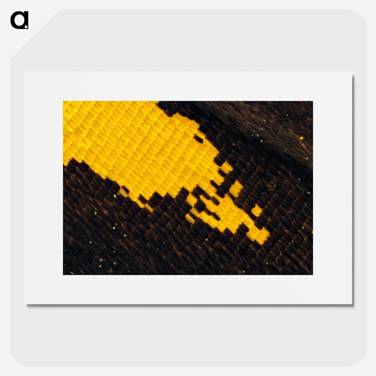 3-29_Insects-Unlocked-Project_picture