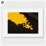 3-29_Insects-Unlocked-Project_picture