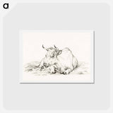アートポストカード-Lying cow - ジャン ベルナール Postcard.