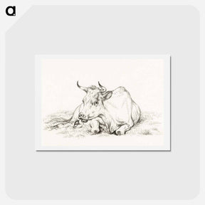 アートポストカード-Lying cow - ジャン ベルナール Postcard.