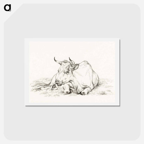 アートポストカード-Lying cow - ジャン ベルナール Postcard.