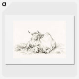 Lying cow - ジャン ベルナール Poster.