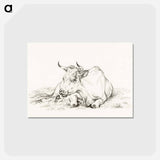 アートポストカード-Lying cow - ジャン ベルナール Postcard.