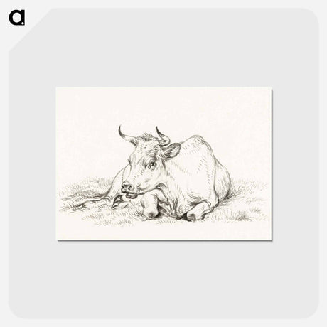 アートポストカード-Lying cow - ジャン ベルナール Postcard.