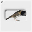 3-29_Johan-Teyler_phone